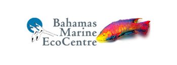bahamas-marine-ecocentre-1